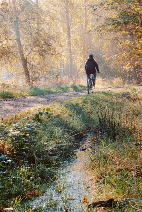 Eine Frau fähr mit einem Pelago Airisto durch den Wald