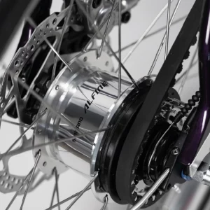 der Shimano Antrieb von Schindelhauer Neo