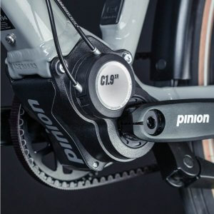 Pinion-Getriebe